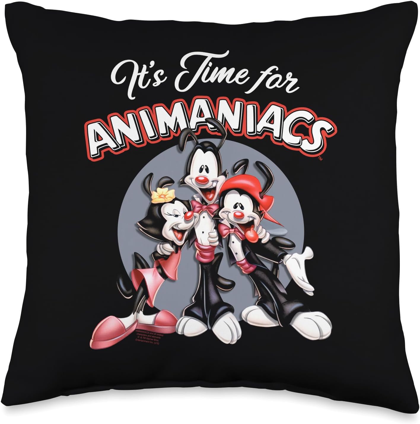 Animaniacs It's Time For Throw Pillow