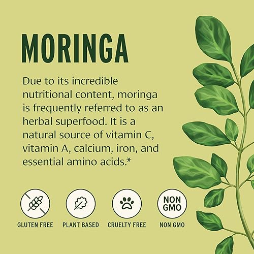 Miniatura 3 de Banyan Botanicals Polvo de hoja de moringa  Certificado orgánico USDA  Moringa Oleifera  Secado al sol  Superalimento a base de hierbas crudas