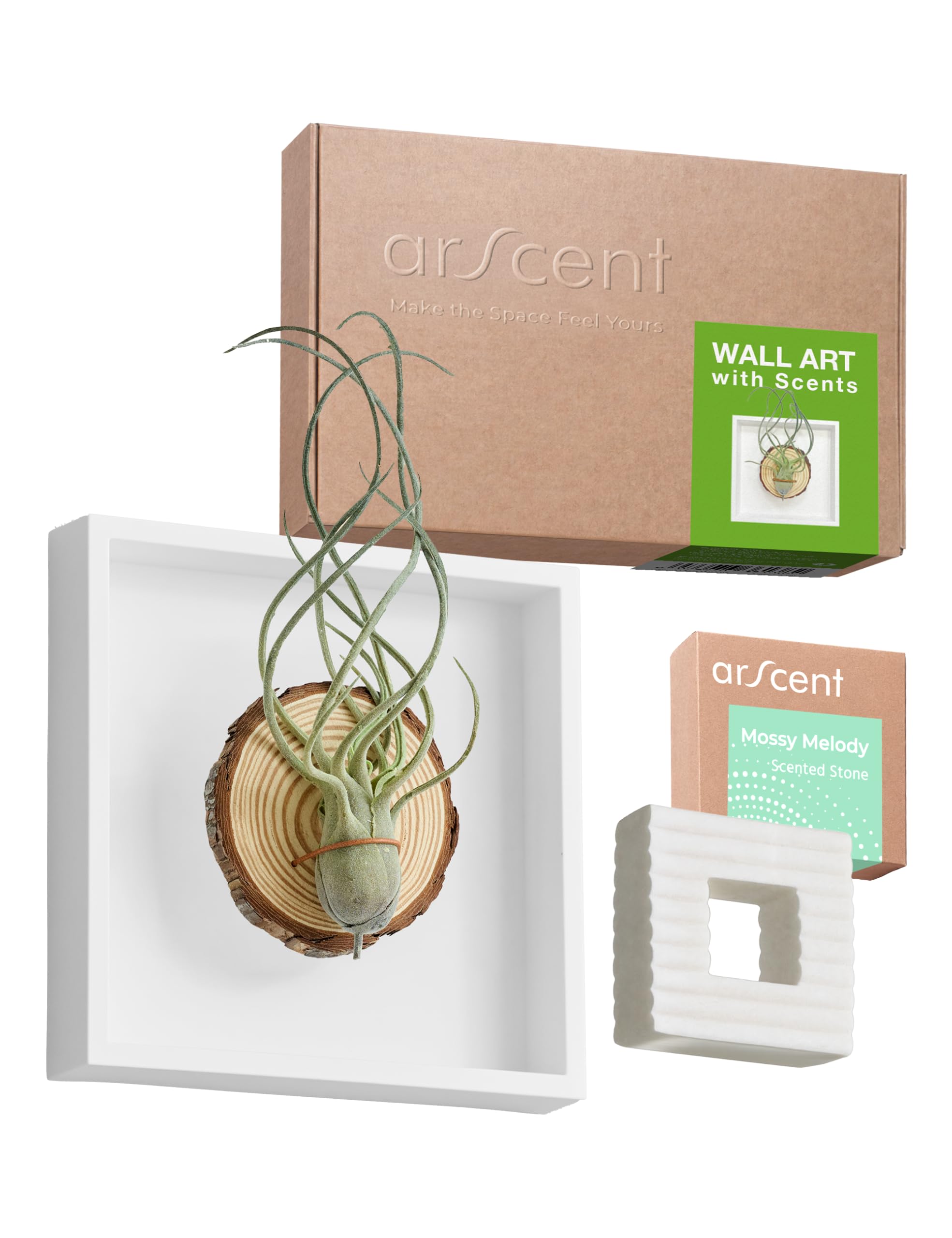 arscent Faux Air Plant 3D Bathroom Wall Art with Scented Stone Diffuser