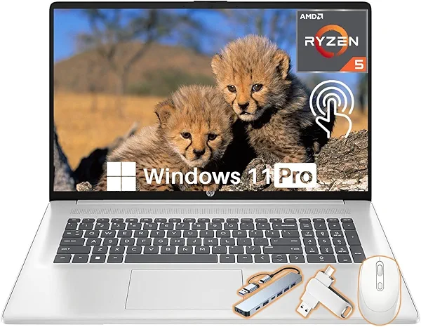 HP 17.3" Touchscreen Business Laptop, AMD Ryzen 5 7530U(Up to 4.5GHz, Beat i7-1165G7), 17.3 HD+ Anti-Glare Touchscreen Display, 64 GB RAM, 4 TB SSD, Wi-Fi 6, Windows 11 Pro, Accessories