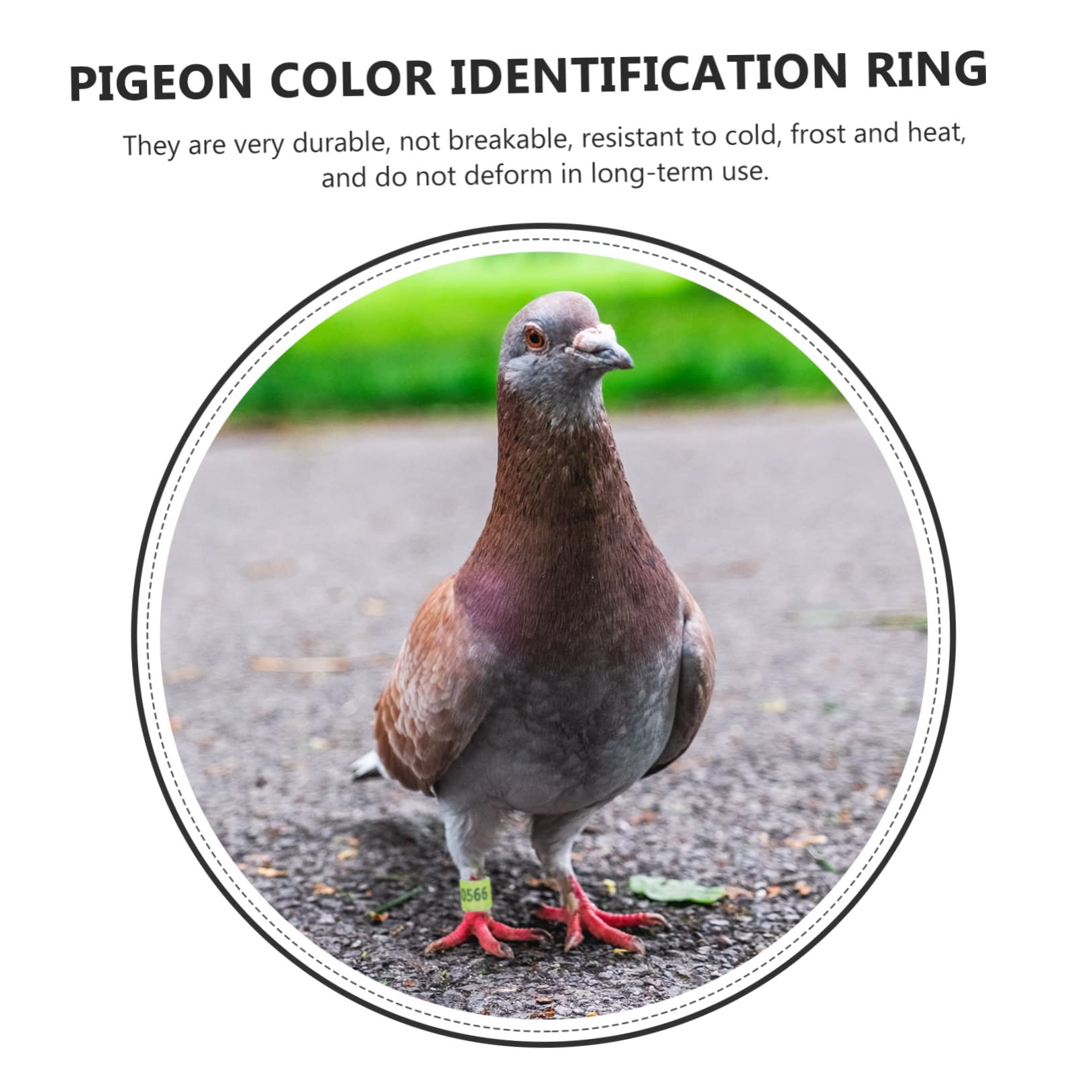 BESPORTBLE 400piezas Anillos De Identificación Abiertos De para Aves para Periquitos y Pájaros