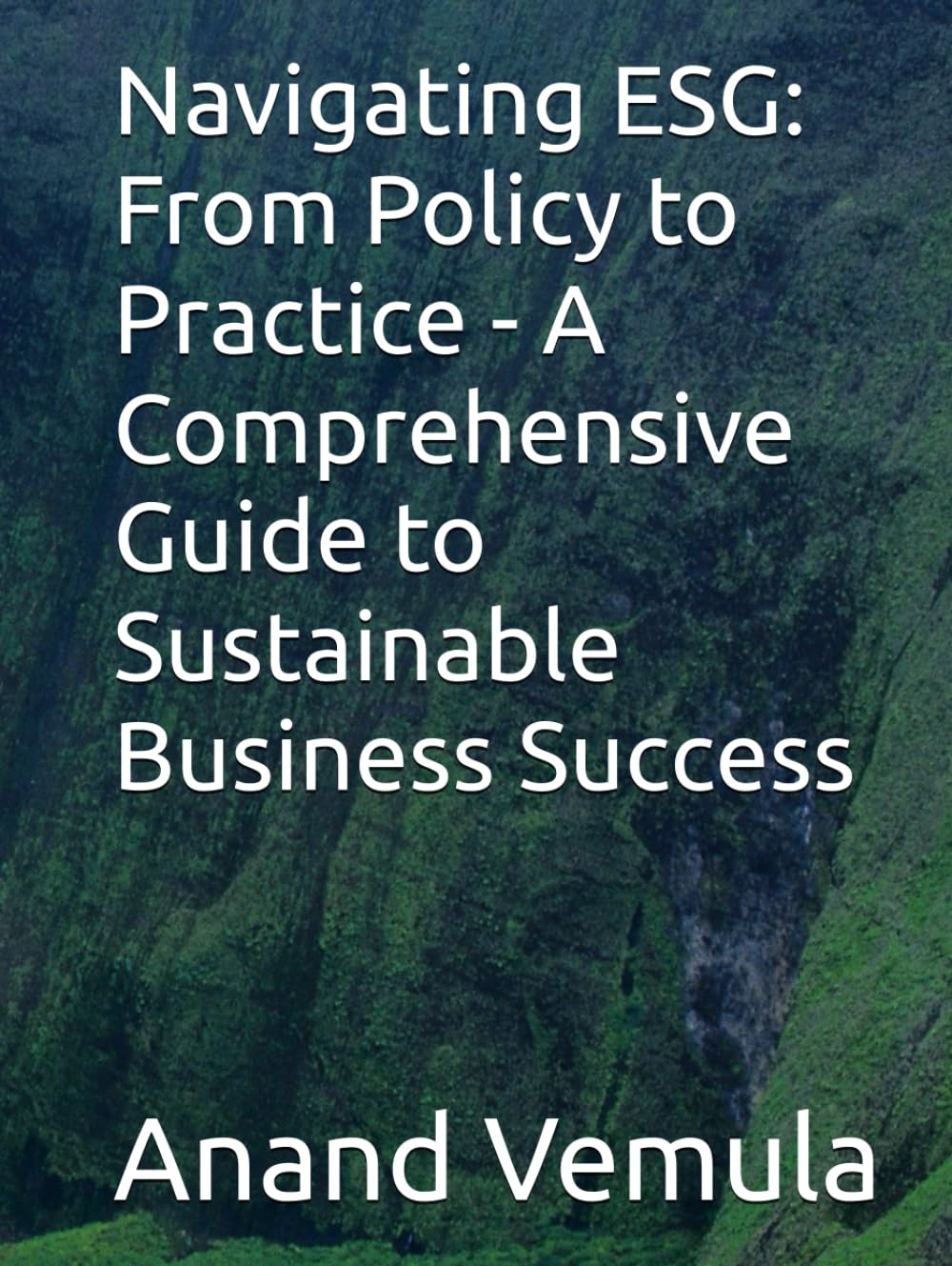 Navigating ESG: From Policy to Practice - A Comprehensive Guide to Sustainable Business Success