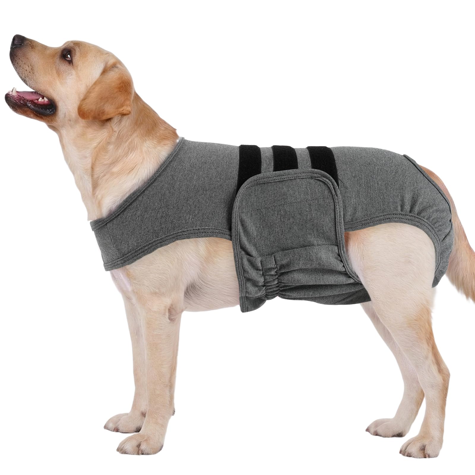 Lelepet Female Dog Diapers with Anti-Slip Suspender, Grey XL