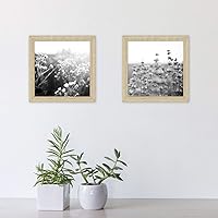 Vista 7 de MCS Gallery Essential - Marcos de fotos, juego de marcos de pared para galería de fotos, grano de madera natural, 8 x 8 pulgadas, paquete de 2