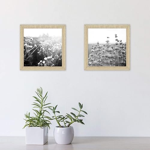 Miniatura 7 de MCS Gallery Essential - Marcos de fotos, juego de marcos de pared para galería de fotos, grano de madera natural, 8 x 8 pulgadas, paquete de 2