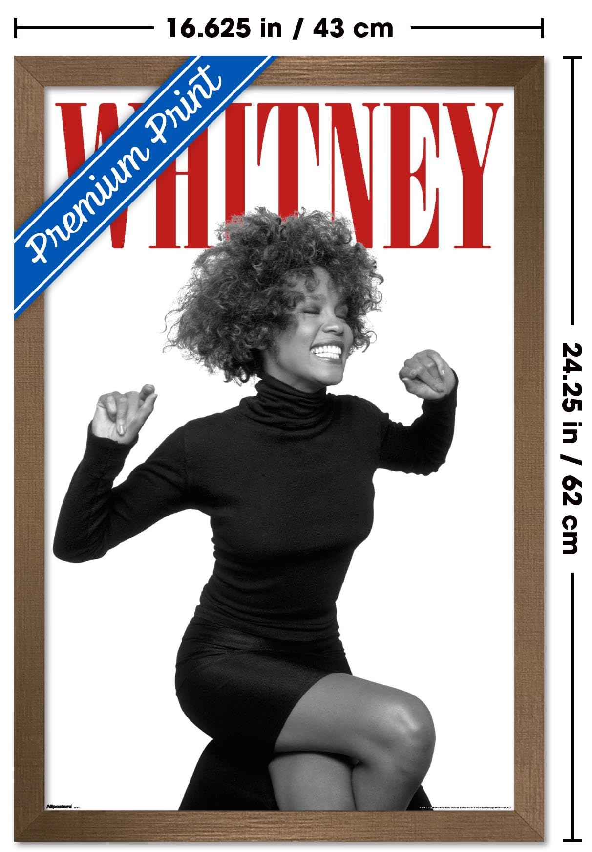 Amazon.com: Whitney Houston - Red Wall Poster, 22.4L