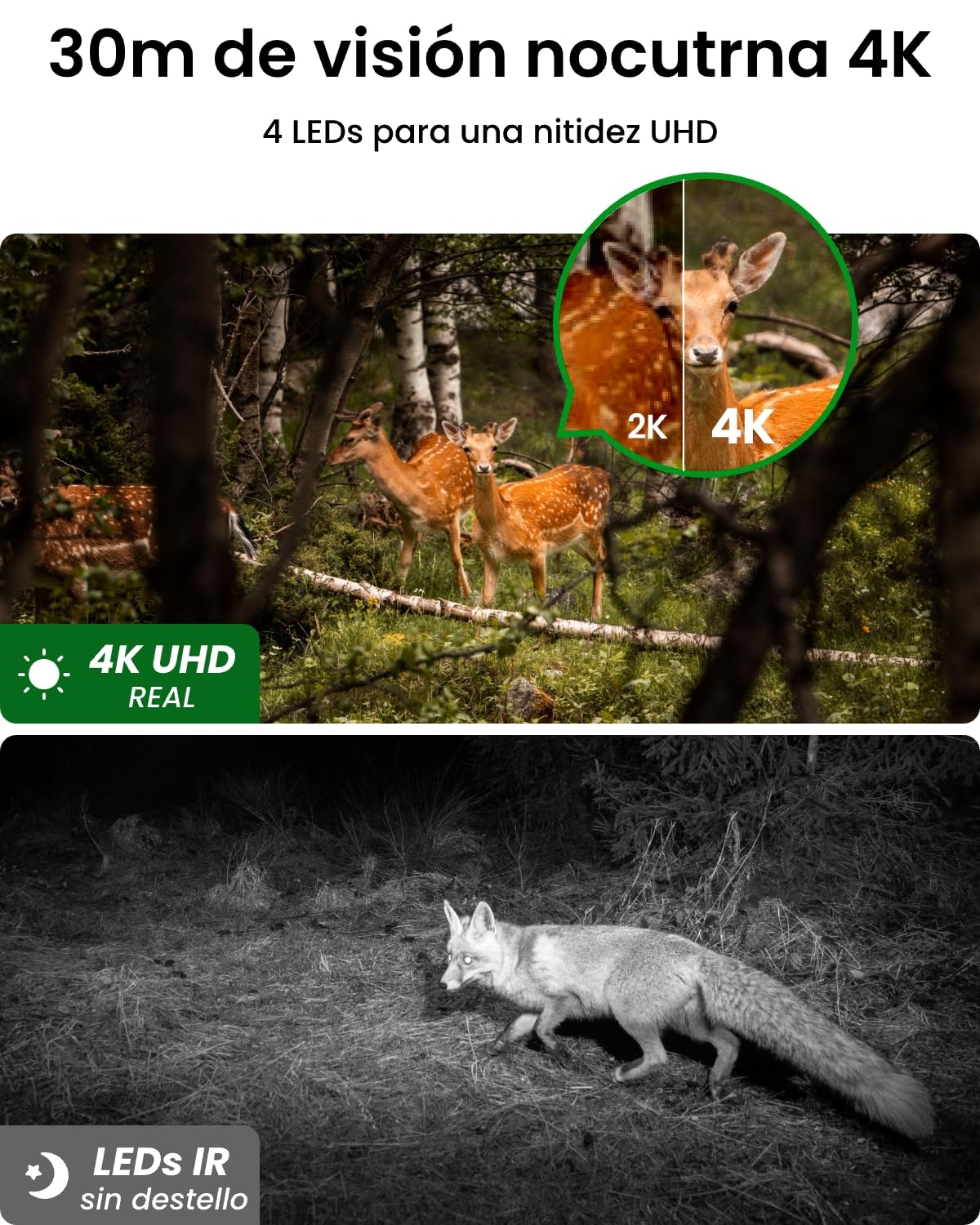 Reolink 4K 3G/4G Camara Vigilancia Exterior Tarjeta SIM Batería Recargable | Visión Nocturna IR sin Resplandor, Detección de AI, Reconocimiento de Animales, Go Ranger PT+Panel Solar 6W+Tarjeta SD 32 GB