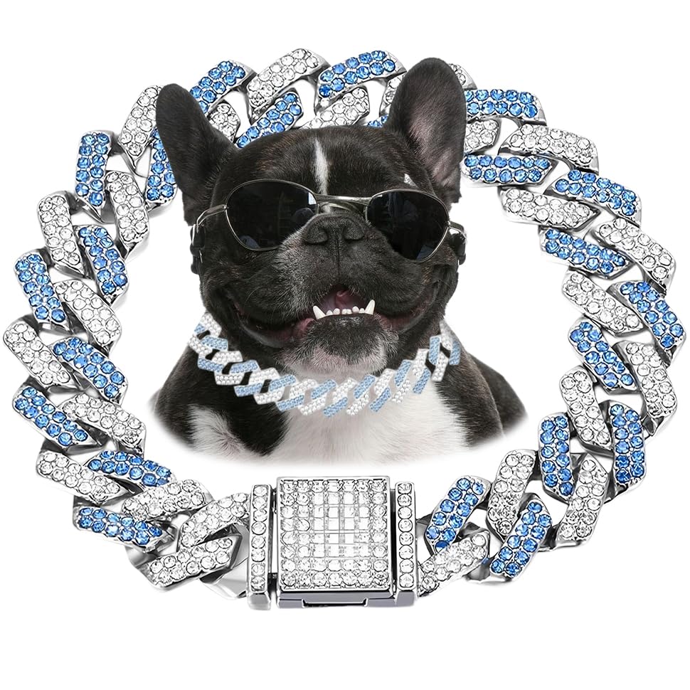 Blue Dog Chain