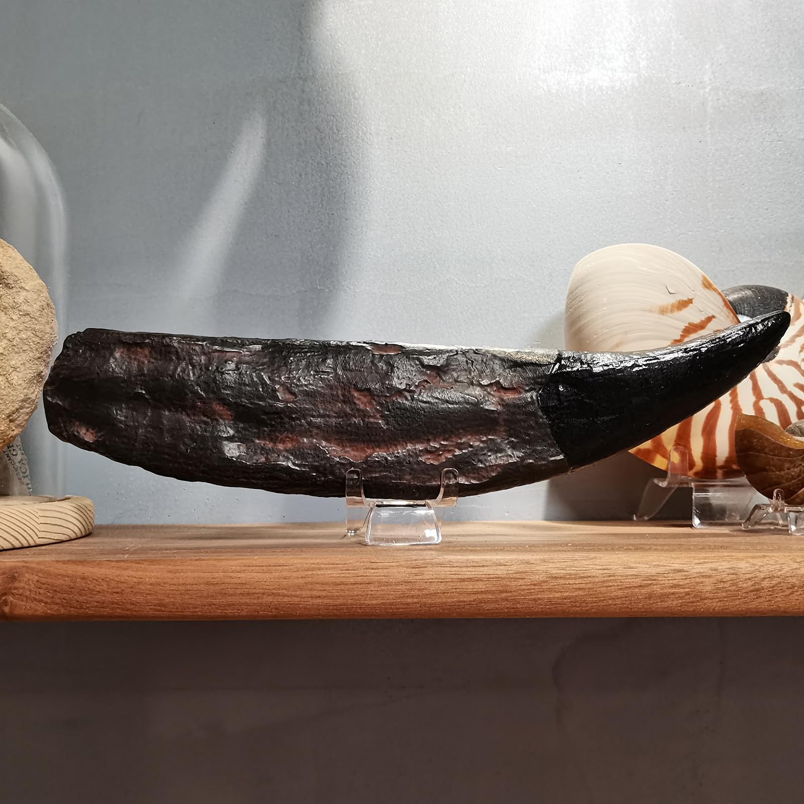 T-Rex - Estatua de diente de calavera de dinosaurio, réplica de fósil para regalo decorativo coleccionable educativo