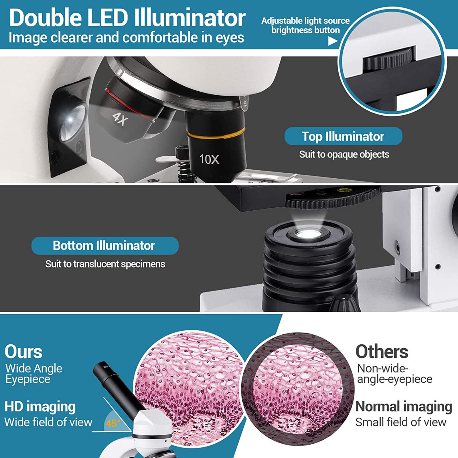 Microscopio biológico para Estudiantes 1600X Microscopio Compuesto Microscopios LED duales con Adaptador de teléfono para Laboratorio de Ciencias Estudio en el hogar
