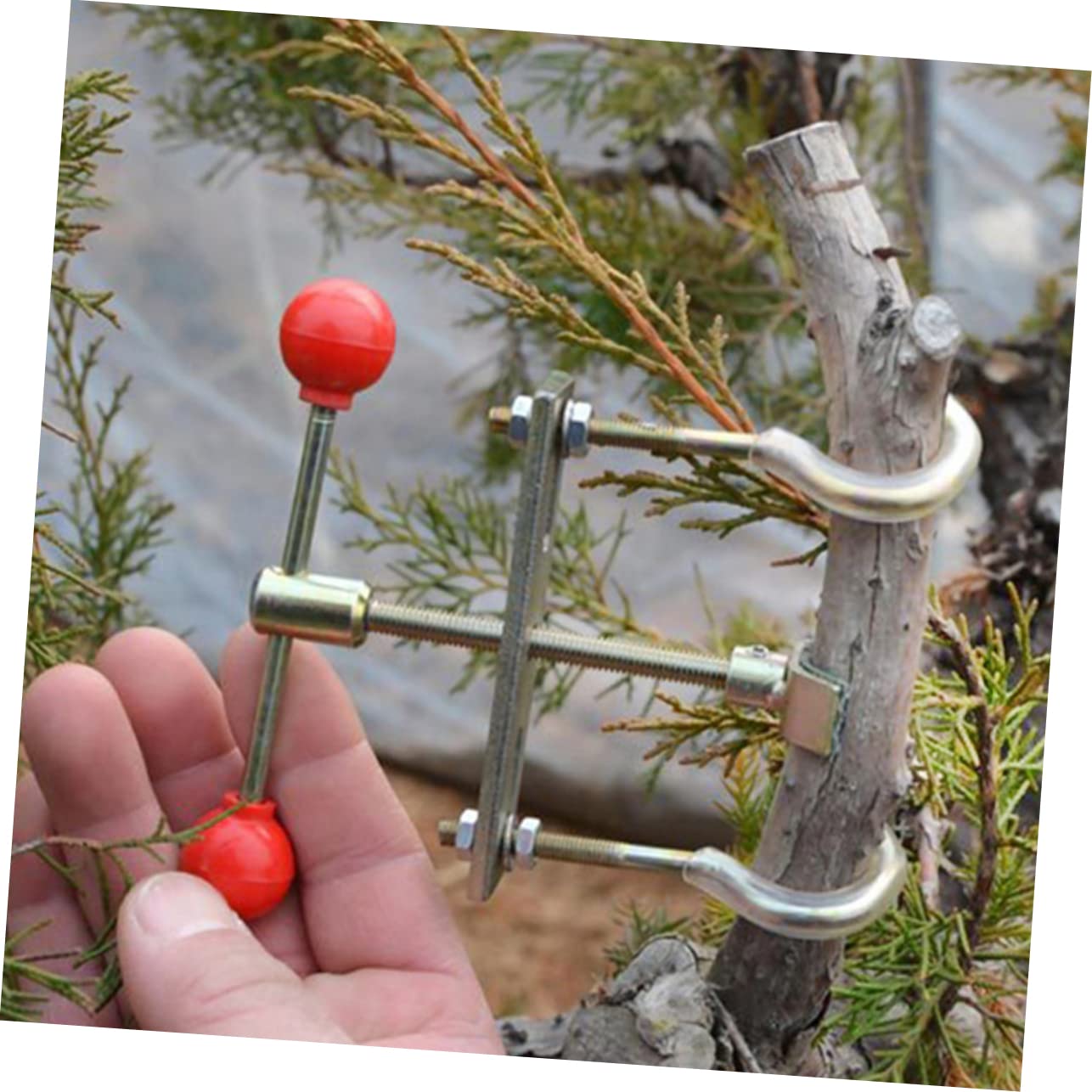 Yardwe 3 Pièces Tondeuse Fil à Bonsaï Outil pour Bonsaï Outil De Réglage Durable Un Bonsai Cintreuse De Plantes Accessoire De Jardin Cintreuse De Branches De Treillis Le Fer