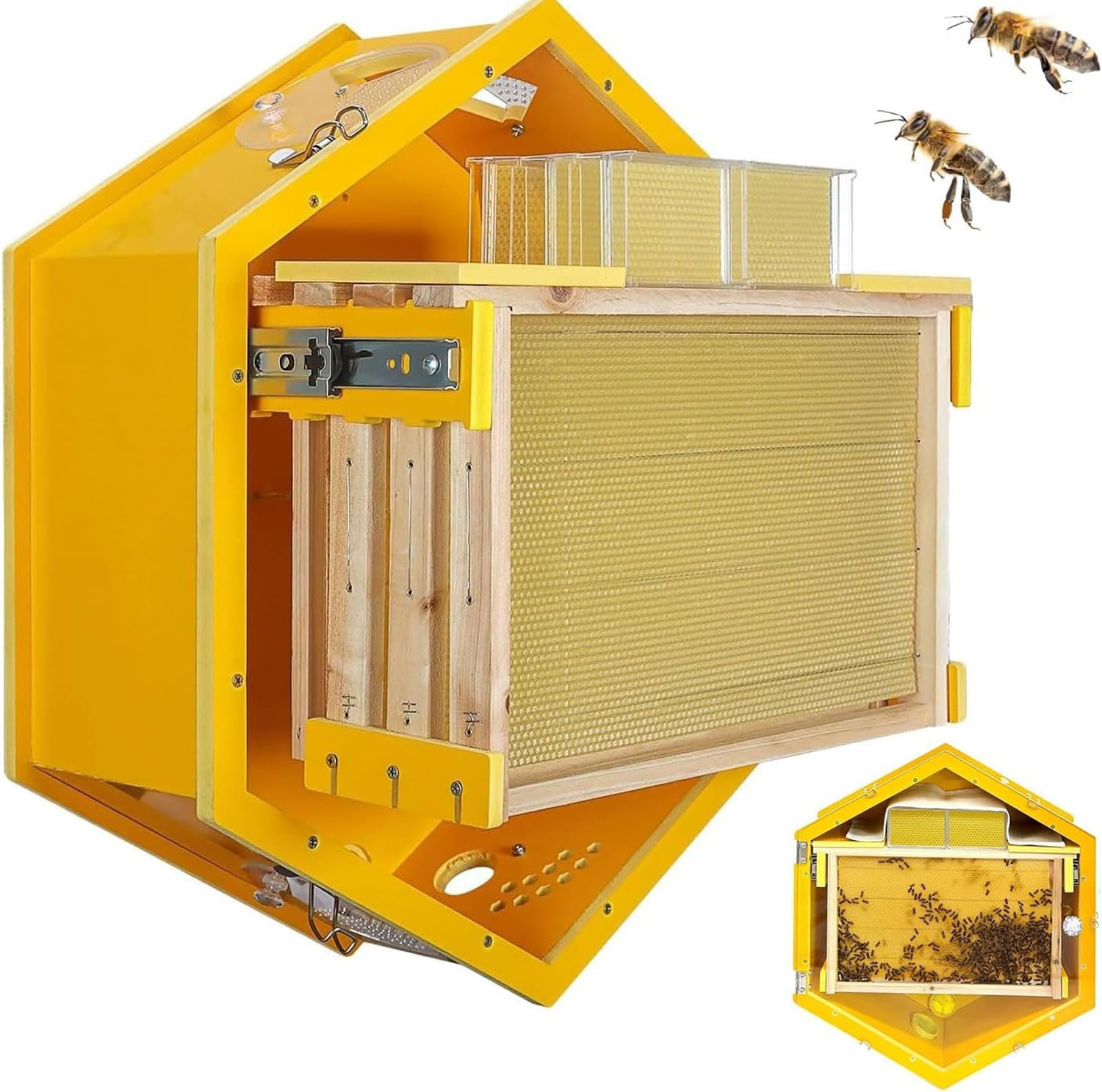 Kit de inicio de caja de colmena con ventanas de observación, 3 marcos y 6 bandejas de panal para entusiastas de la apicultura de interior y la granja de abejas