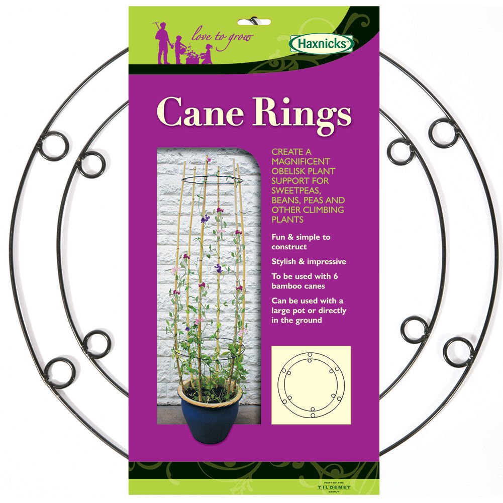 Haxnicks Set Of 2 Cane Rings| Decorative Plant Cane Support | Add Canes For A Cane Teepee | Garden Obelisk | Sweet Peas Beans Passion Flowers Clematis | Green, 50x45x0.03 cm | Frame070101