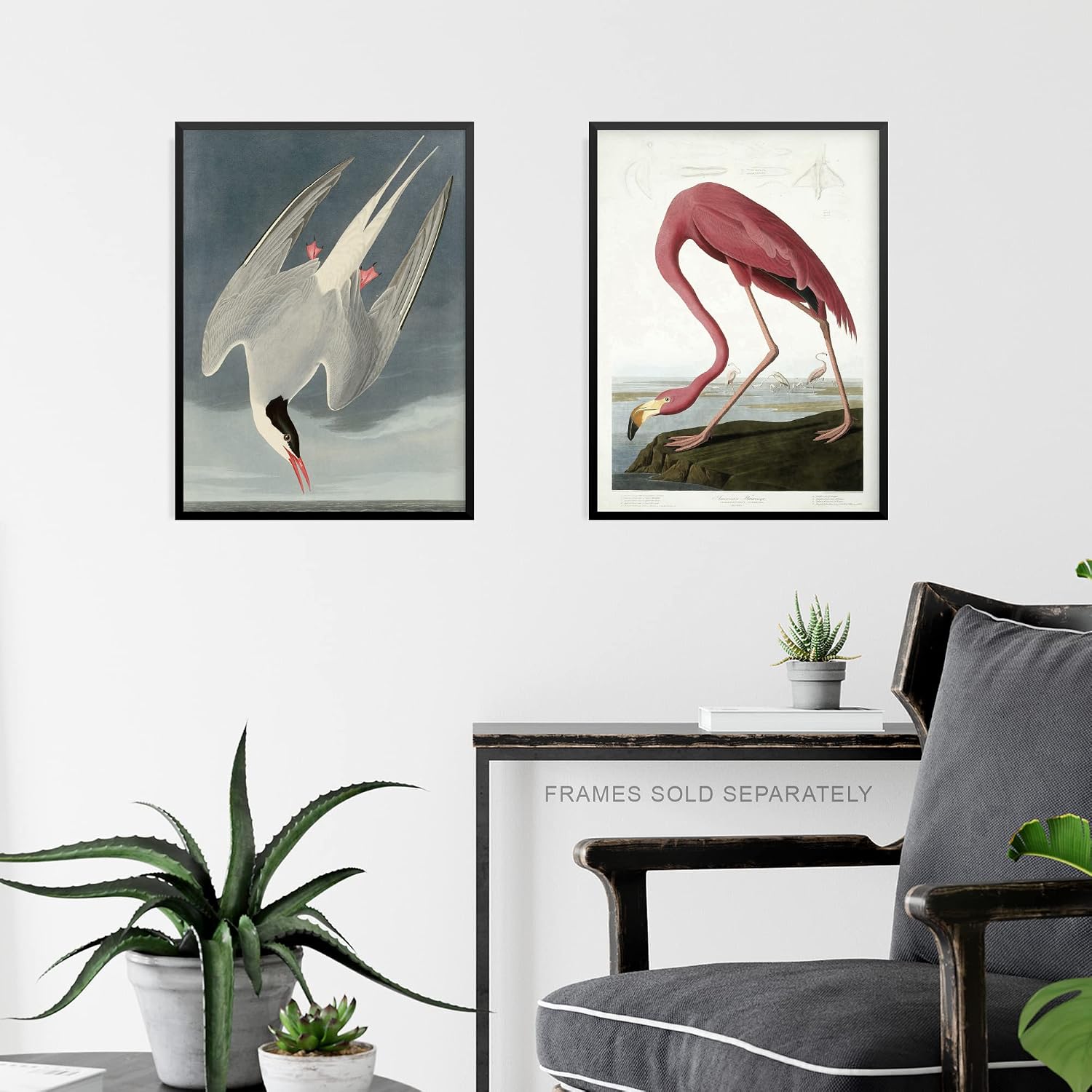 Artery8 Vintage Audubon Birds Flamingo Pelican Heron Set Of 10 Unframed Wall Art Prints Bathroom Bedroom Aesthetic Avian 12X16 Inch