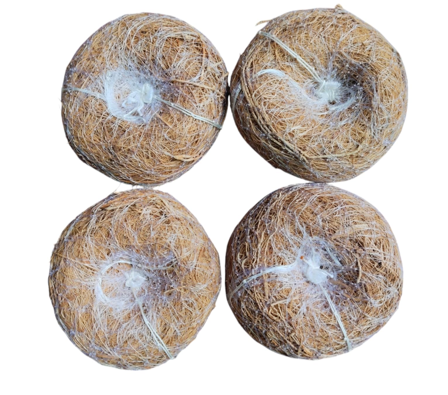 Spicado Traders (Khus) Ramacham Root Stress Relief Natural Body Coolant Natural Fragrance Organic Body Bathing Scrubber - Pack of 4-image-33