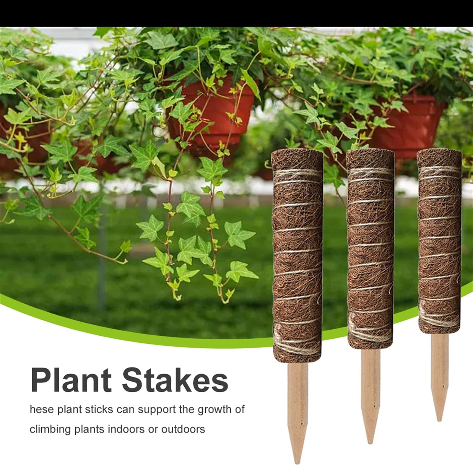 Saturey Tuteur Plante 2pack Pole Support TRULIS PIETEUR DE Plante D'ÉLIMINATION Moss ROYANCE Fibre Coconut Fibre Maison Jardinage Cadre de Balcon Support pour Plantes De Jardin (Size : 35cm)