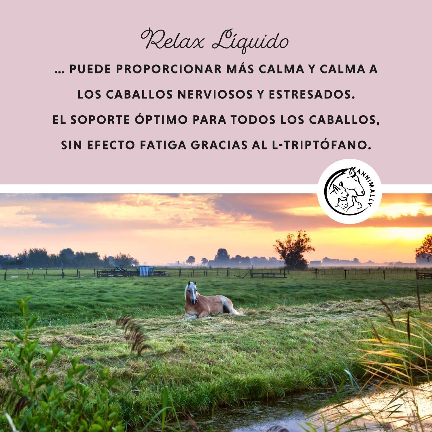 Annimally Relax Liquid para Caballos 1000ml, Jarabe calmante para Caballos con valeriana, lúpulo, triptófano, B12, magnesio y Calcio líquido - contra la ansiedad, el estrés y para el Transporte
