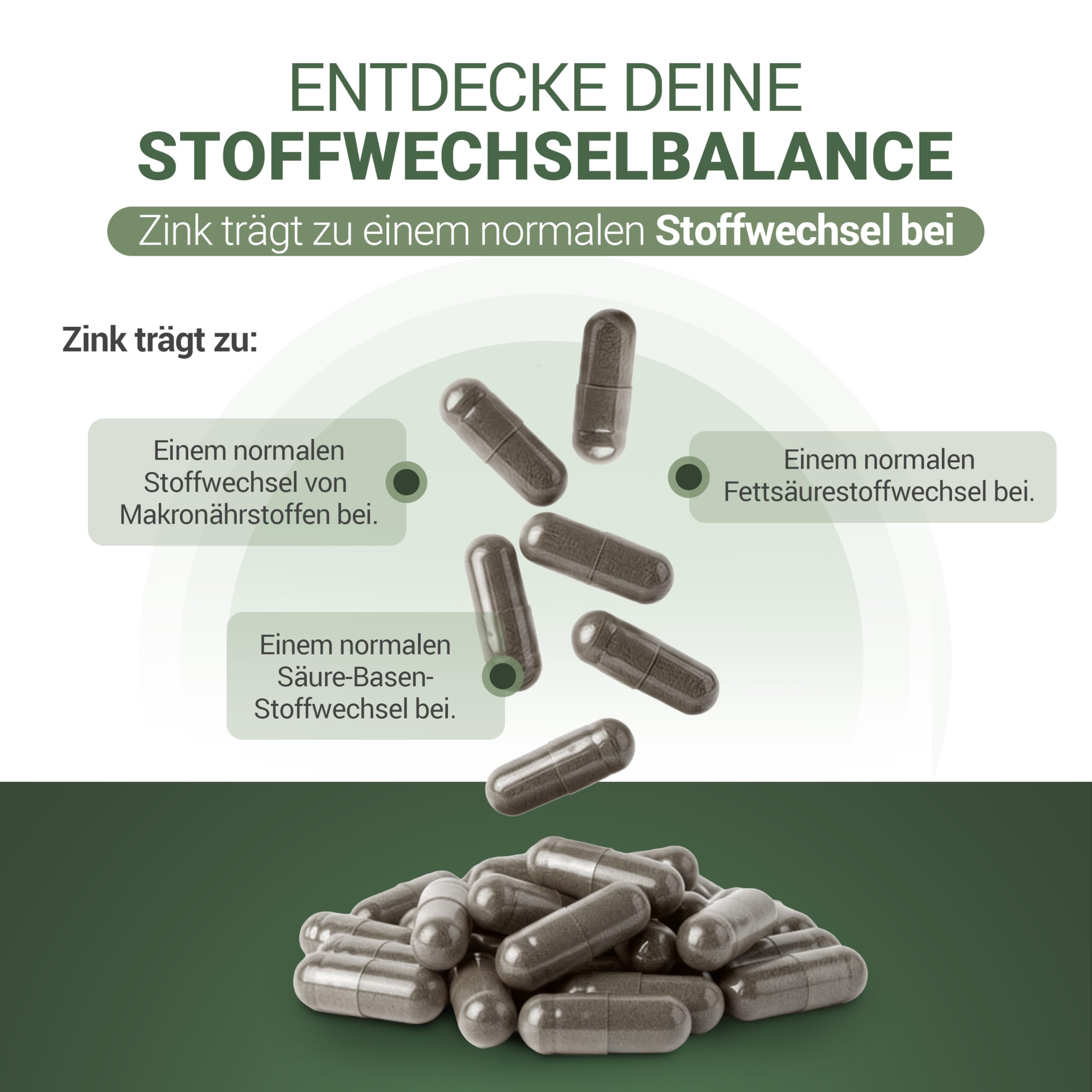 60 Kapseln - Stoffwechsel-Komplex mit Zink, Artischocke & Löwenzahn - Für Fettstoffwechsel & Säure-Basen-Haushalt - Bitterstoffe, vegan, tibetische Rezeptur