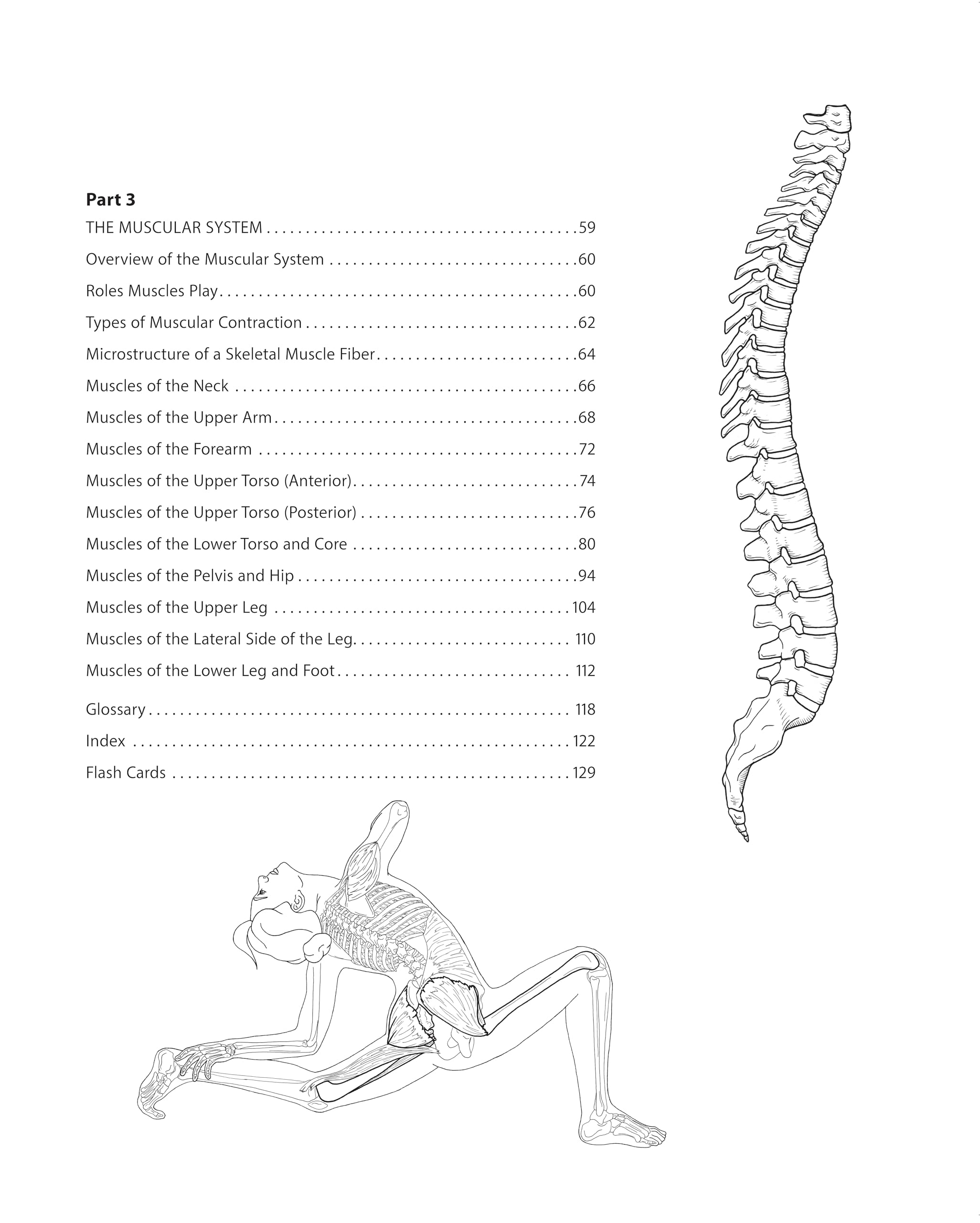 The Dance Anatomy Coloring Book: A Visual Guide to Form, Function, and Movement (Get Creative, 6)