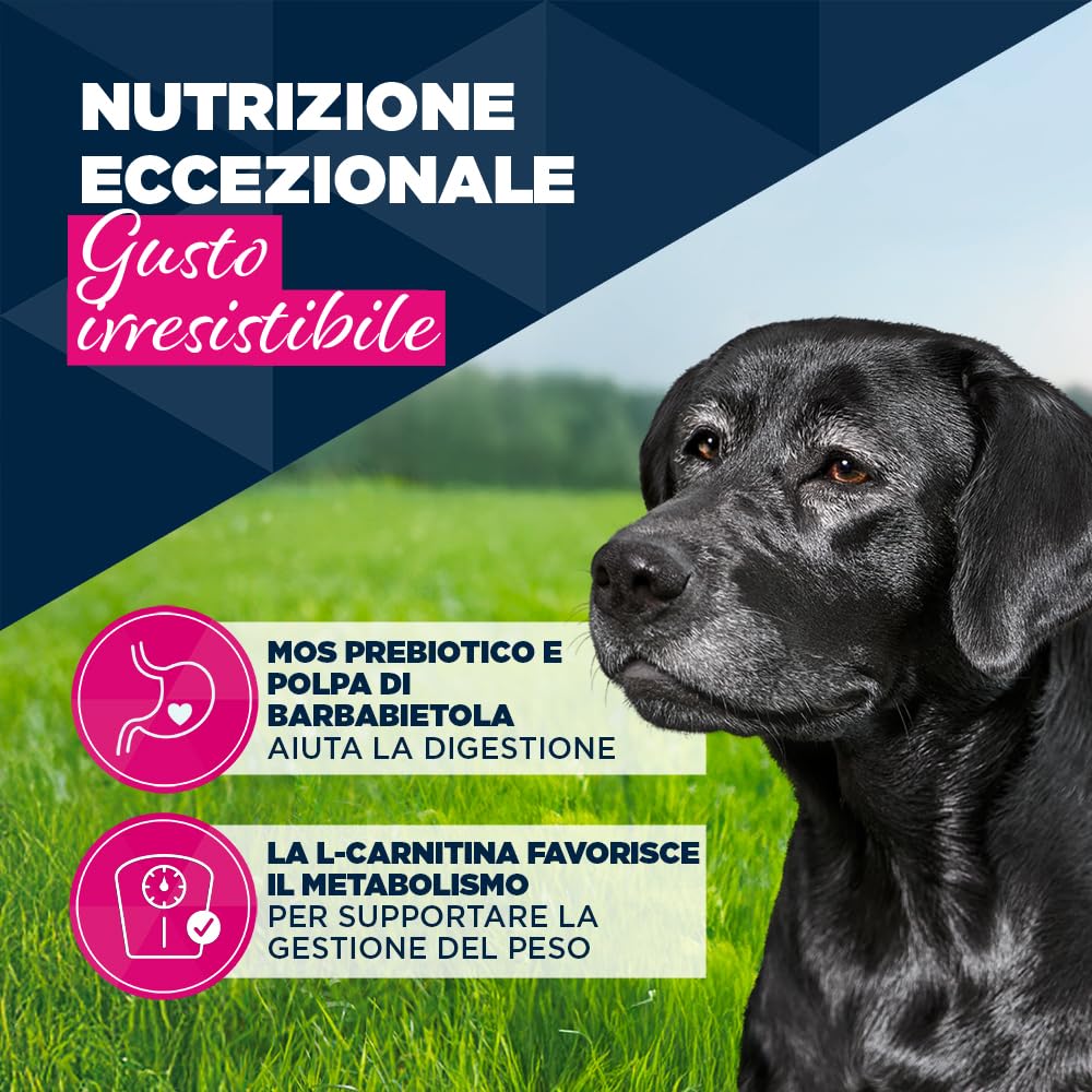 EUKANUBA Cibo umido per cani senior con tacchino e carote, cibo umido premium senza cereali per cani anziani, 6 x 400 g lattine