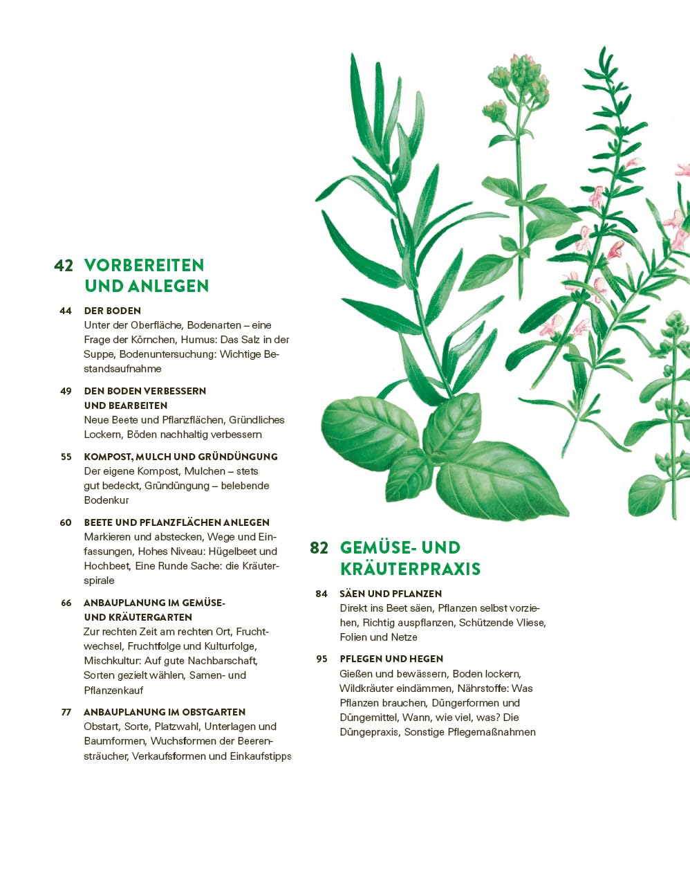 Das große Gemüse- und Obstgartenbuch: Planen, anbauen, pflegen und erfolgreich ernten für Selbstversorger