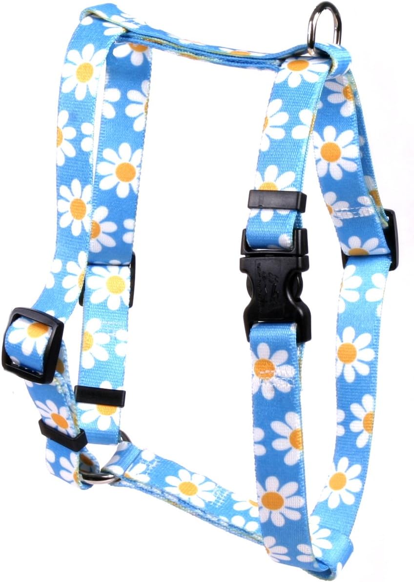 daisy harness