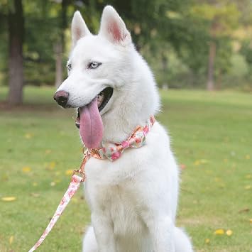 Tunkoo Dog Leash Floral with Soft Comfy Cotton Handle,Girl Pet for Small Medium Large Dogs Puppy Daily Walking(Gouache,S)