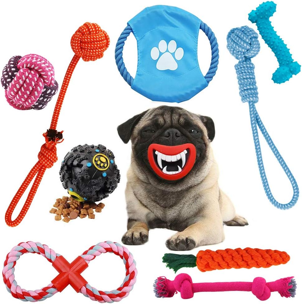 OSLA Puppy Toys 10 Pack Kong Dog Teething Toys Sets Interactive Dogs Mouth Chew Toys Durable Training Teeth Toys Dogs Treat Ball Rope Tug Toys Dog Squeaky Toy for Small Medium Dogs
