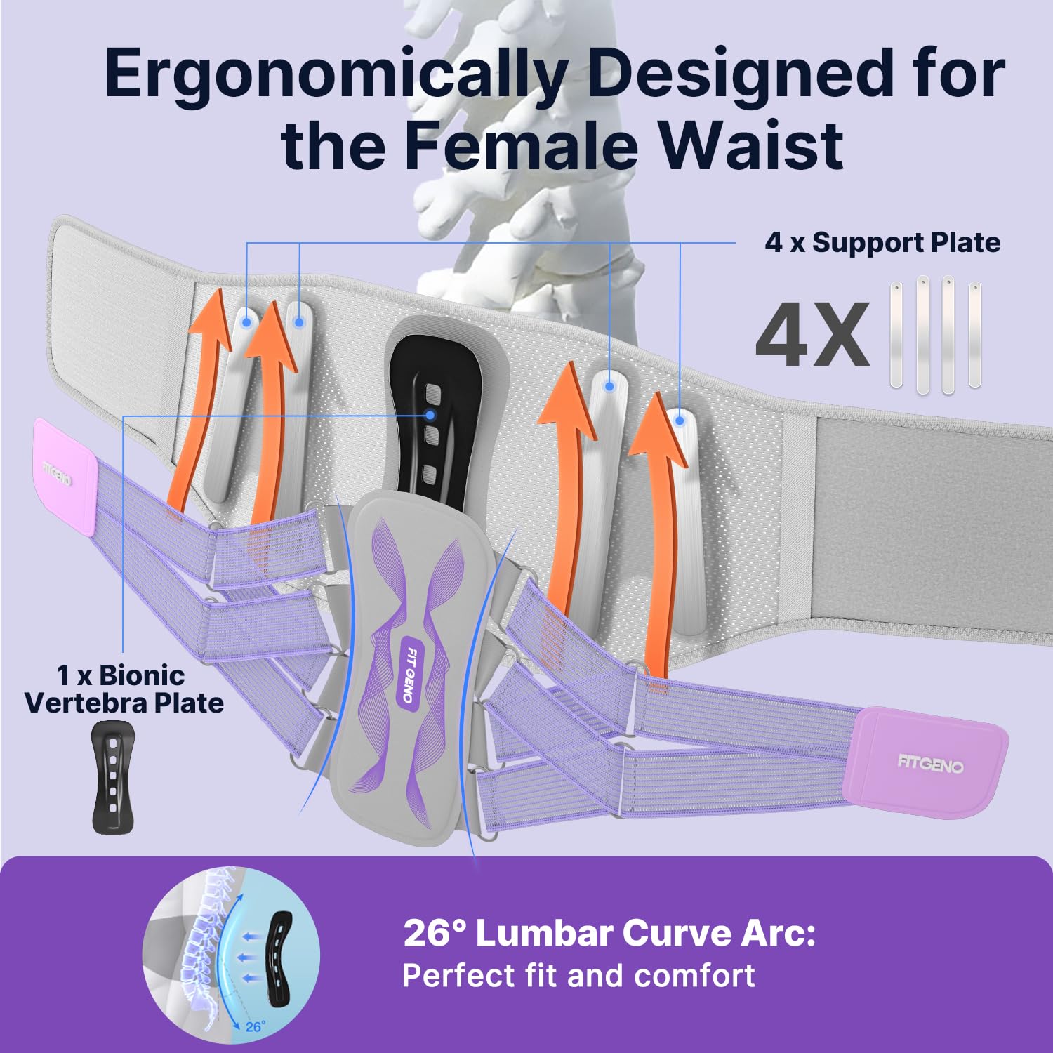 Fit Geno Back Brace for Lower Back Pain Women: Adjustable Lumbar Support Brace for Pain Relief - Breathable Waist Belt for Comfort - XL/2XL/3XL - Image 3