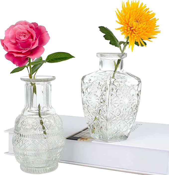 Glass Vase Bud in Bulk Set of 2,Vintage Flower Bottle Small