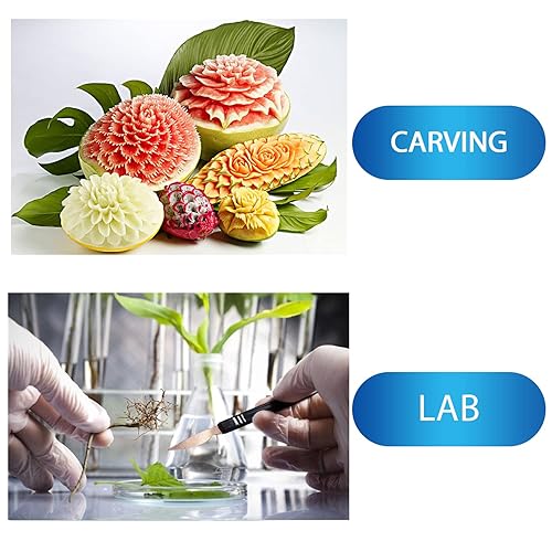 Miniatura 7 de Paquete de 15 cuchillas quirúrgicas #10 con mango de bisturí de acero inoxidable, cuchillas Dermablade de acero de alto carbono envueltas
