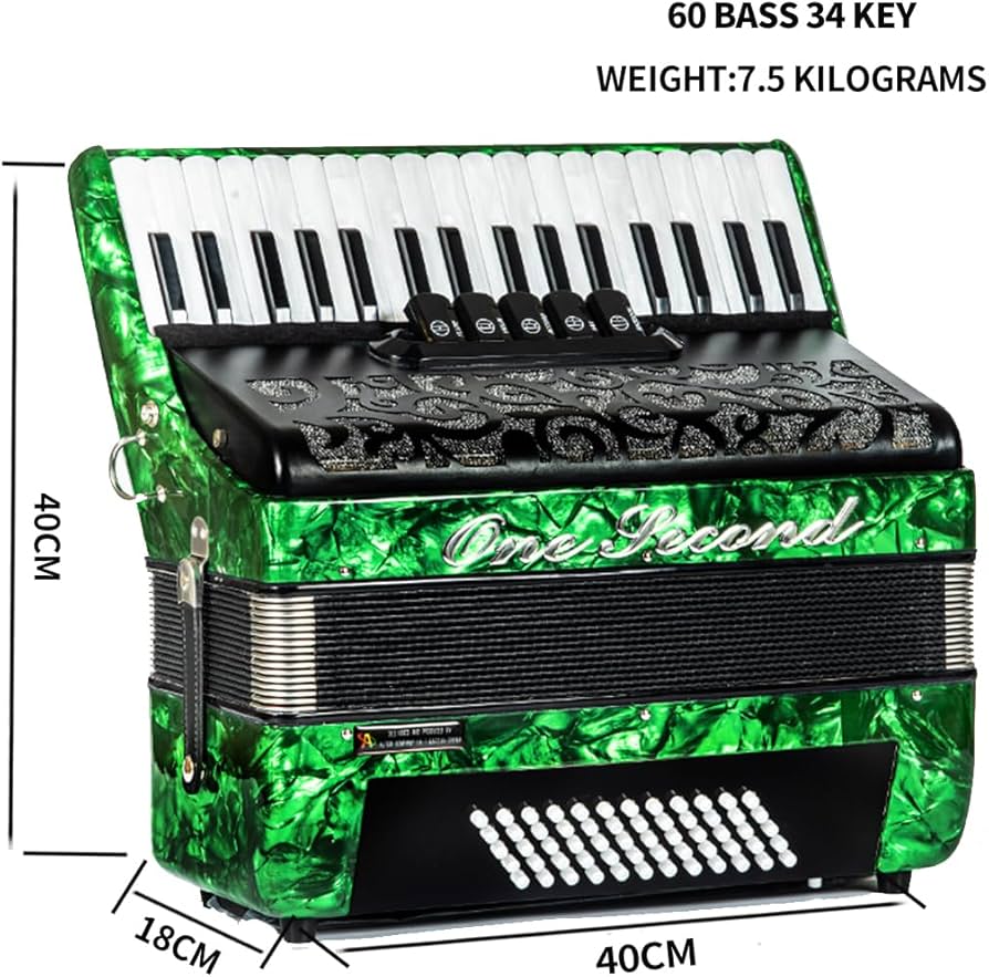 Amazon.com: One second keyboard accordion 60 bass 34 keys with bag