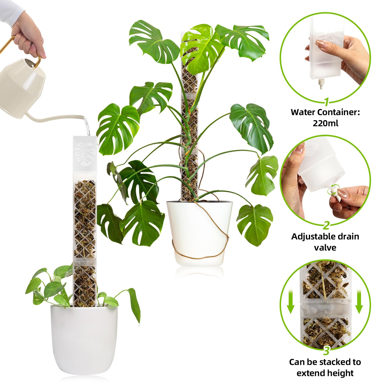 Moss Plastikowy słupek, 4 sztuki 35 cm (Pal do roślin pnących + wstawianie gruntu) + 150 g piżmo, maszt bagienny do roślin pnących wewnątrz i na zewnątrz, wsparcie dla roślin