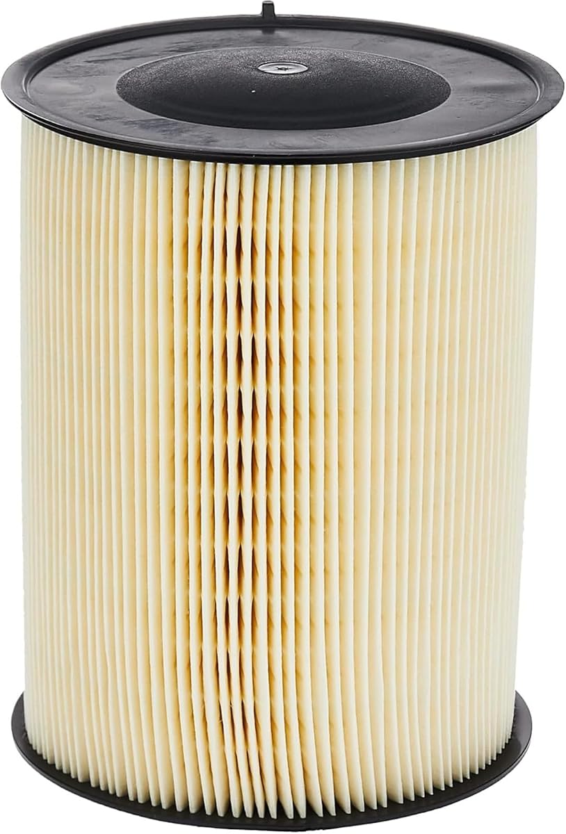 Motorcraft - Element Asy - Filtro de aire (FA1908)