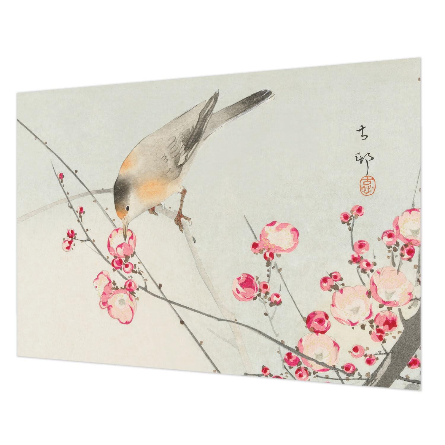 Papier peint chambre à coucher Tulup 312x219 cm oiseau des fleurs