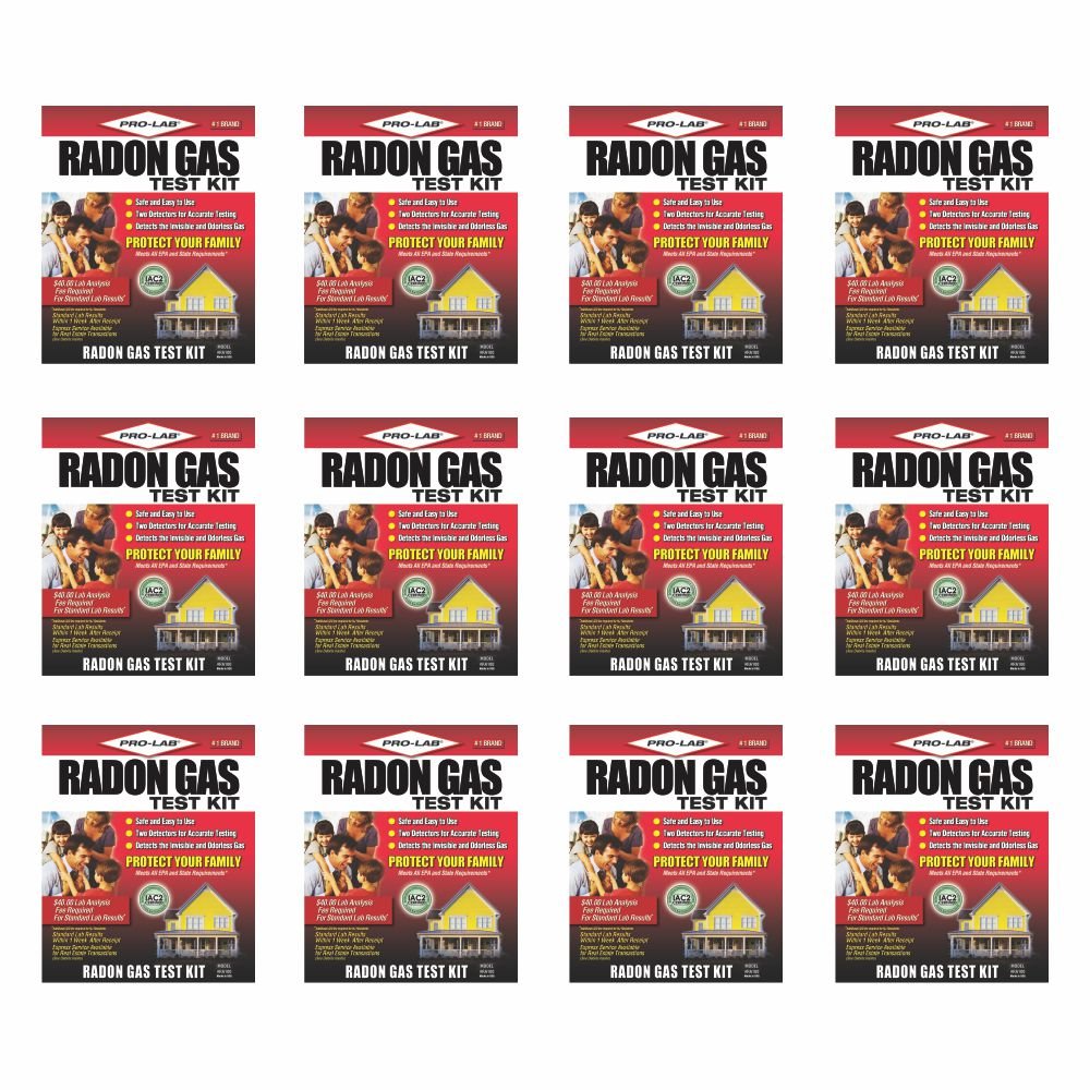 Professional Lab RA100 Radon Gas Test Kit 12 Pack