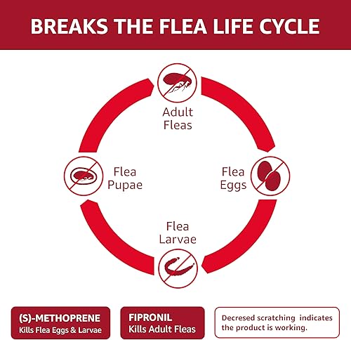 Miniatura 3 de Marca Tienda  Solimo tratamiento tópico de pulgas y garrapatas para perros (pequeño, mediano, grande, extra grande)