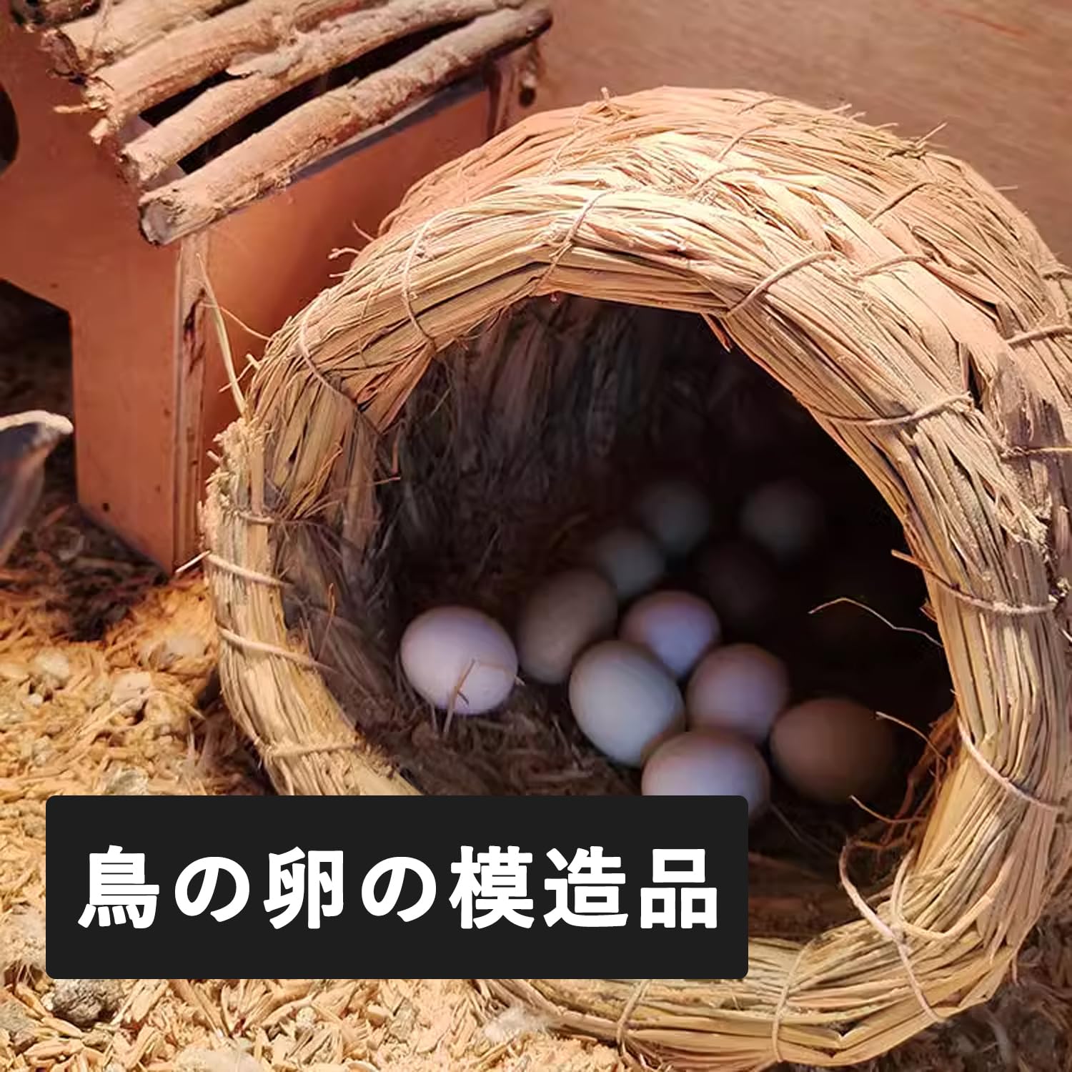 木の上に小鳥と卵 Amazon | 偽卵 イースターエッグ【6個セット】小鳥 フェイク