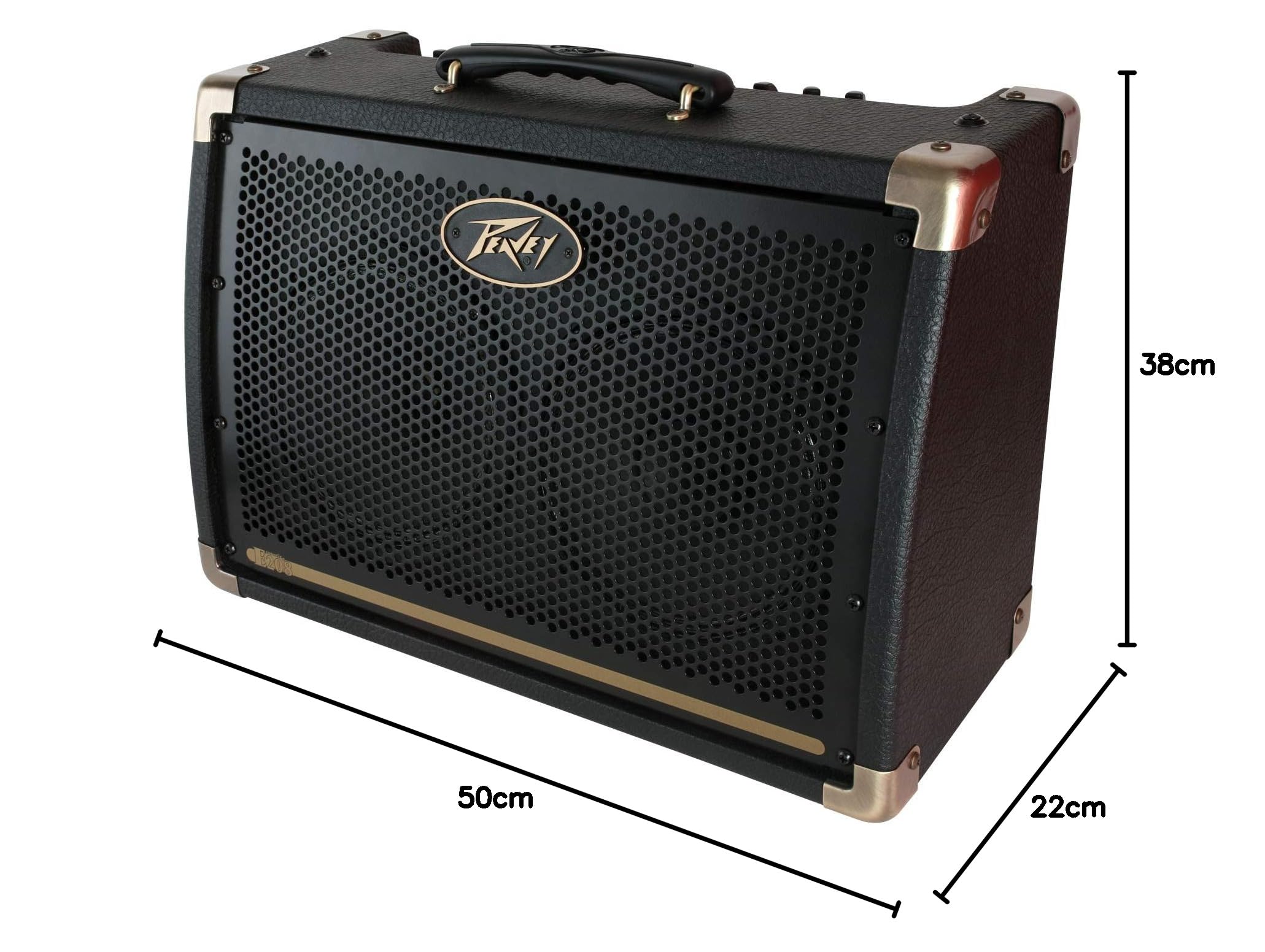 Amazon | PEAVEY アコースティック・ギター用アンプ 20W Ecoustic E208