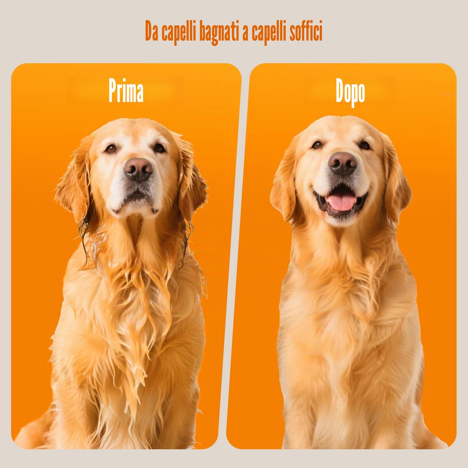 Nobleza Pet Blower - Asciugacapelli professionale per cani, con 4 beccucci, velocità/calore regolabile, tubo e spazzola, basso rumore