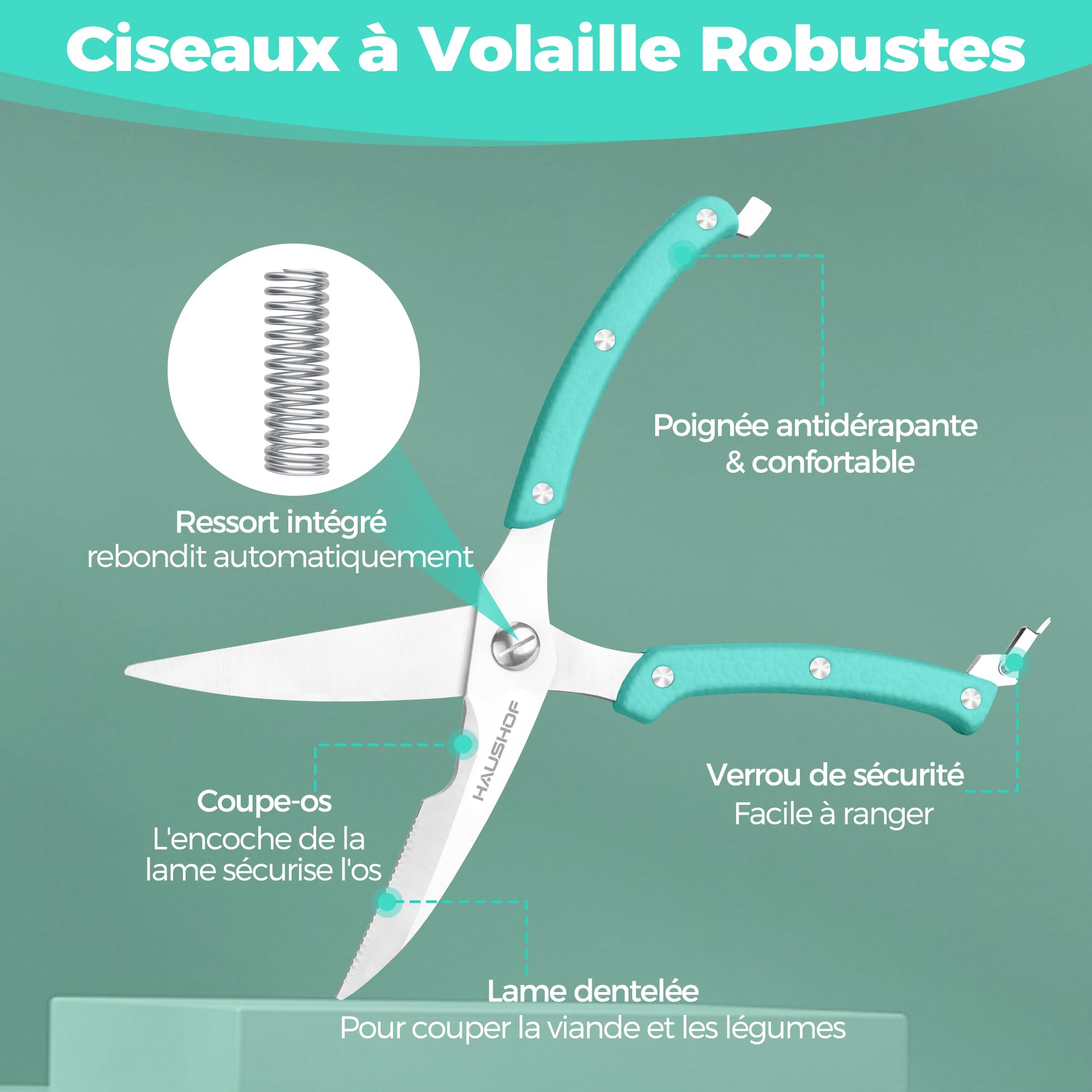 HAUSHOF Ciseaux à Volaille Robustes 255 mm, Ciseaux de Cuisine Professionnels en Acier Inoxydable Robustes et Tranchants pour Poulet, Viande, Poisson, Os et Légumes
