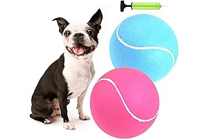 Colossal Canine Tennis Balls: The Ultimate Playtime Powerhouses