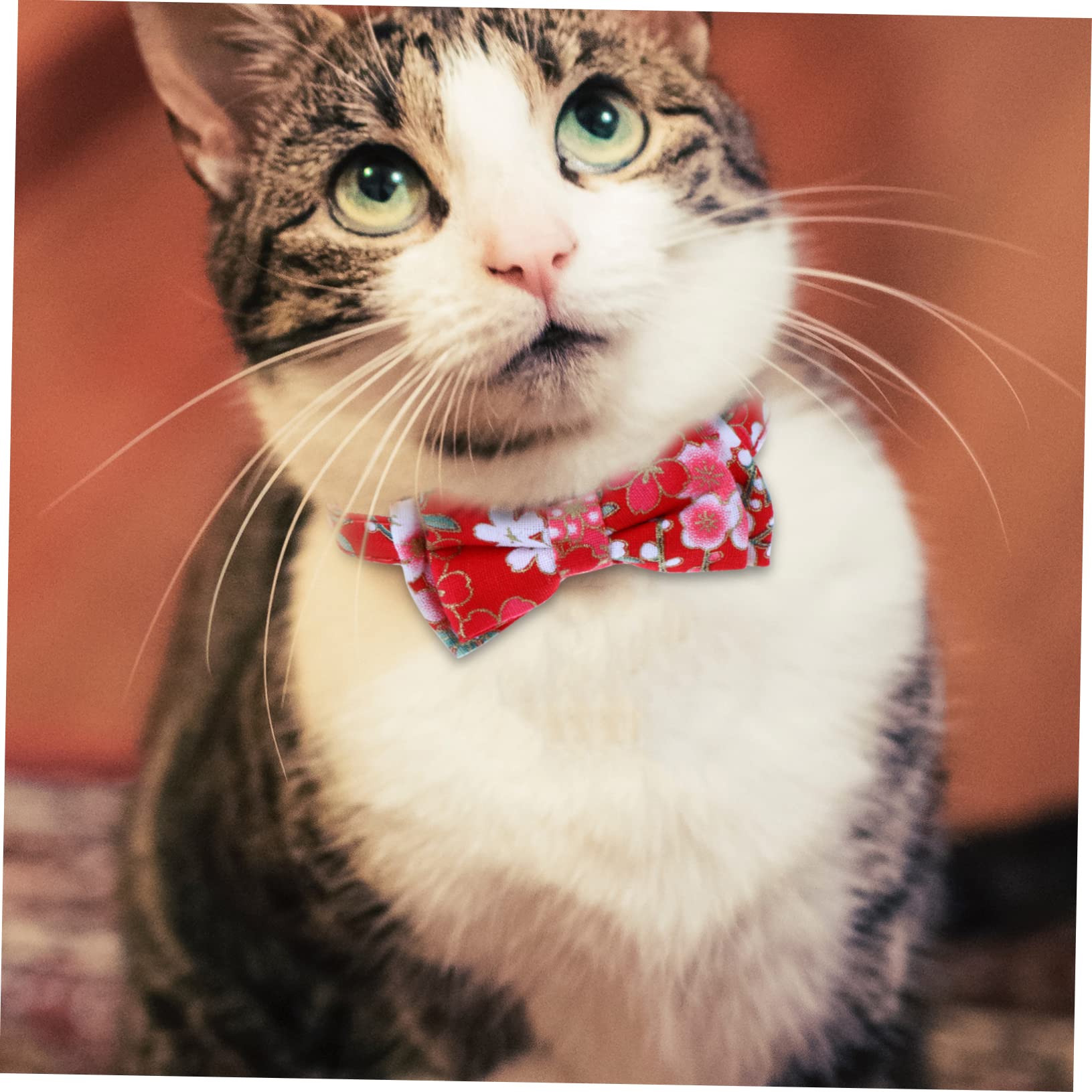 INOOMP 9pièces Collier pour Chat Réglable avec Clochettes Et Nœud Lot de Fleurs Colorées Accessoire Doux pour Animaux De Compagnie