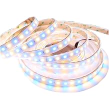 LEDENET RGB+Warm White LED Strip Lights SMD 5050 2800K-3200K RGBW DC 24V 360LEDs 16.4Ft Color Changing RGB LED Tape Light Outdoor Waterproof IP67 for Room Party Holiday LED Lighting