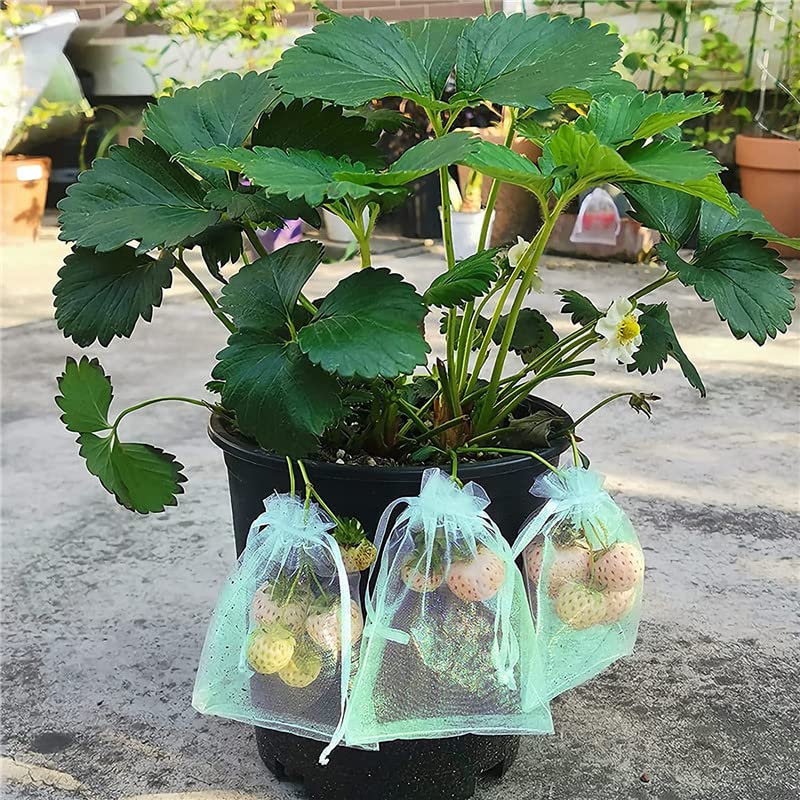 20/50/100 pezzi sacchetti di rete per protezione della frutta con