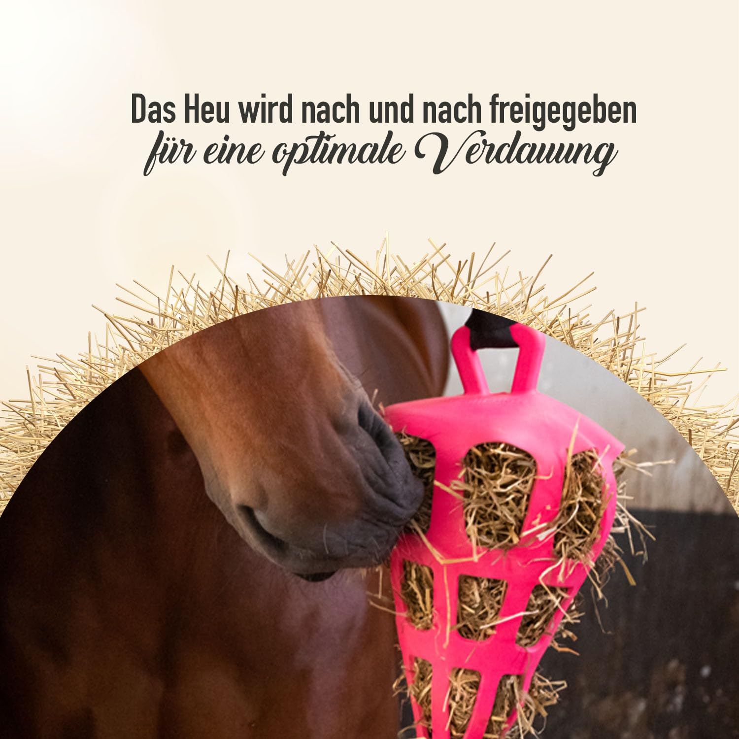 Holland Animal Care Hay Slowfeeder Fun&Flex Wurzel - Heufutterautomat für Pferde - Geeignet für Weidetiere - Gegen Stallverfall - Fördert die Gesundheit - Bis zu 1 kg Heu - Ø 22 cm - Rosa