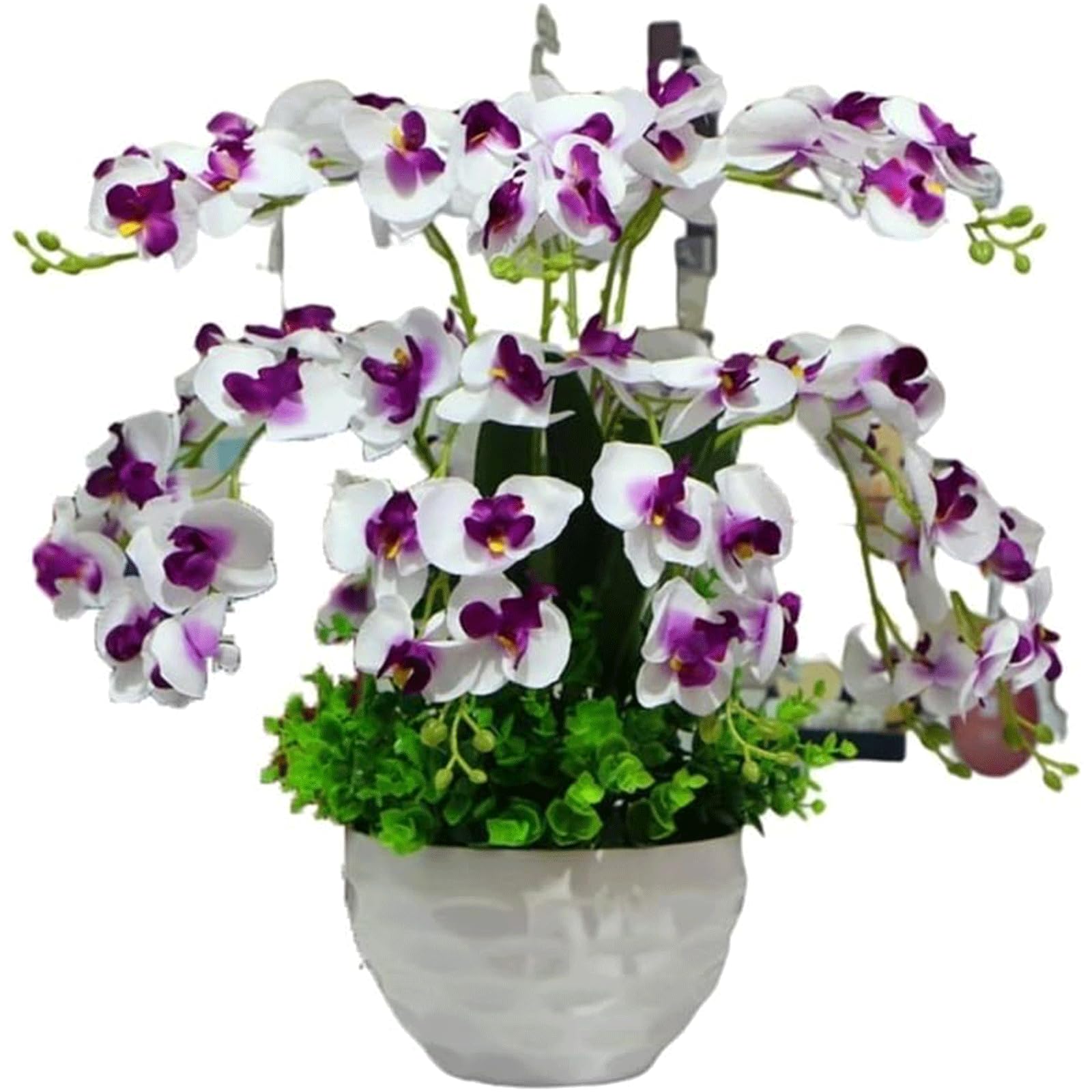 XDLEDMKIZ Artificial Flowers Floral Arrangement Fake Flowers Decorative Fake Flowers Real Touch Orchid with Vase Wedding Decor