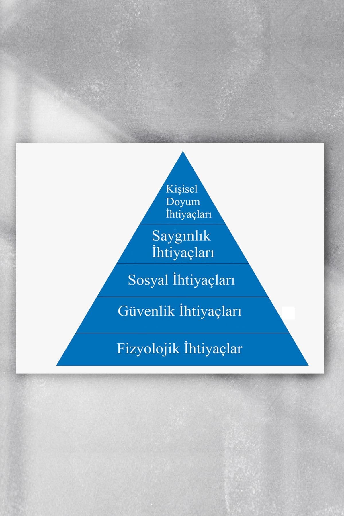Postermanya (pster21519) Maslow Ihtiyaçlar Piramidi Eğitim Posteri