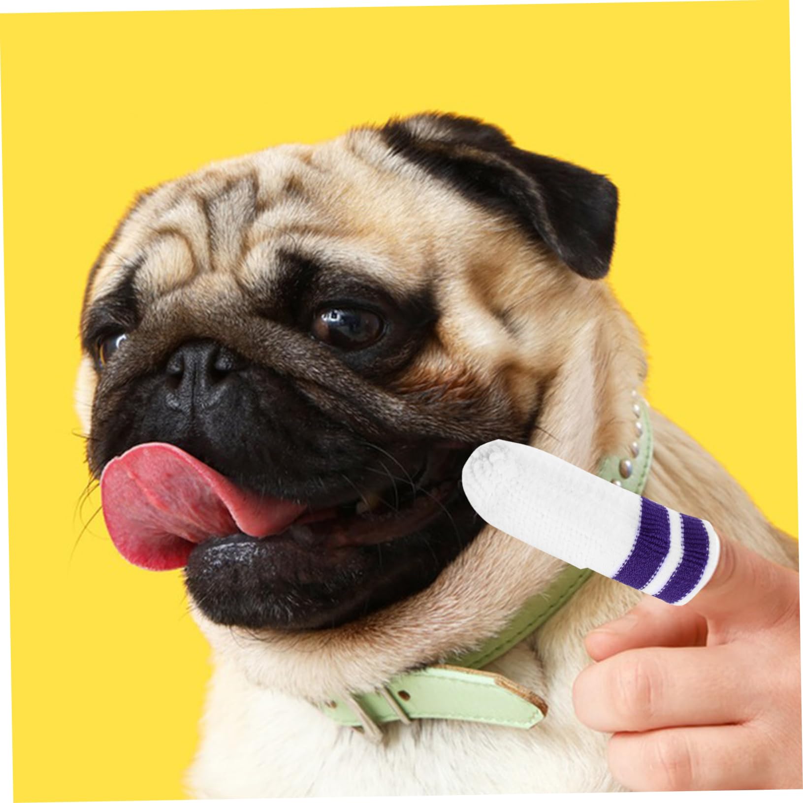 POPETPOP 30 Pcs Nettoyage Pour Animaux De Compagnie Dent Doigt Lingettes Pour Chiens Petite Race Brosse Dents Brosse À Dents Dent Doigt Lingettes Pour Chiens