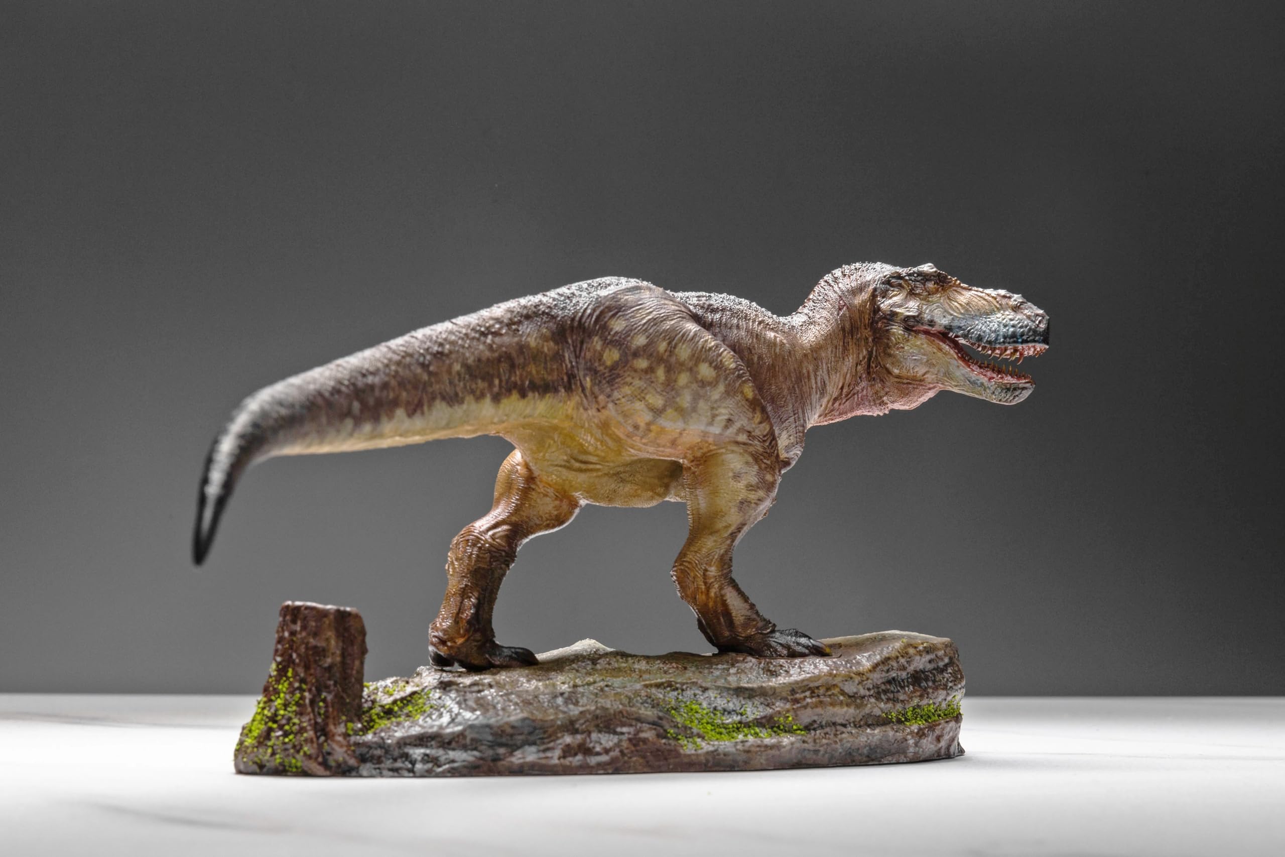 Amazon | BACALYSO | GREENHOUSE REVOLUTION STUDIO 1/35